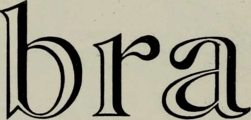 An illustration from Specimens of type, borders, ornaments, brass rules and cuts, etc. : catalogue of printing machinery and materials, wood goods, etc, 1897, leaf 369