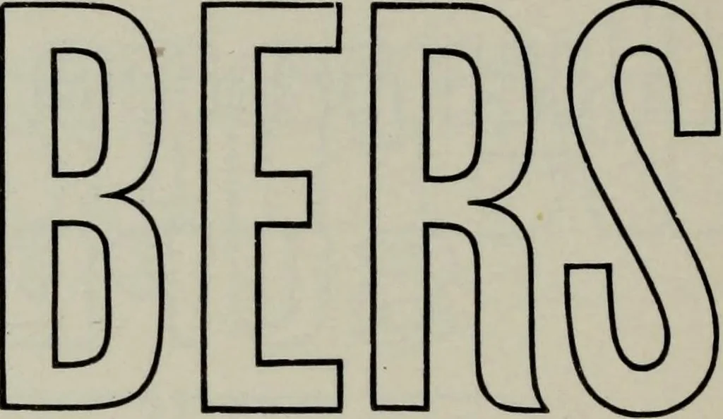 An illustration from Specimens of type, borders, ornaments, brass rules and cuts, etc. : catalogue of printing machinery and materials, wood goods, etc, 1897, leaf 405