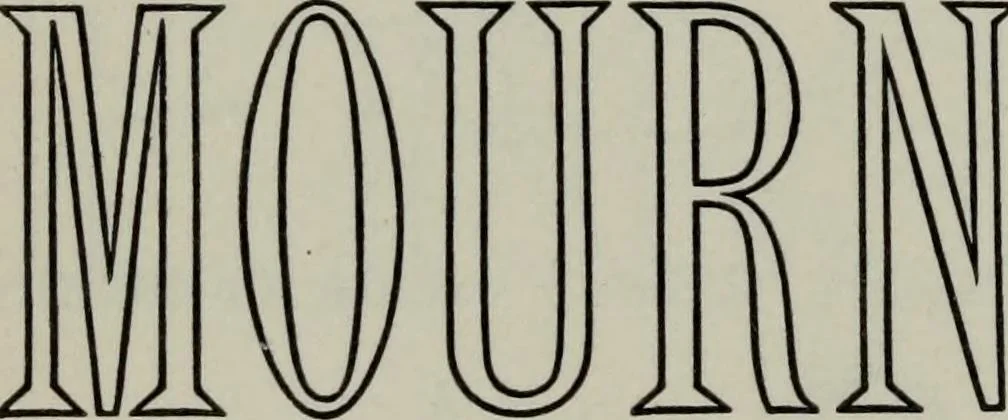 An illustration from Specimens of type, borders, ornaments, brass rules and cuts, etc. : catalogue of printing machinery and materials, wood goods, etc, 1897, leaf 409