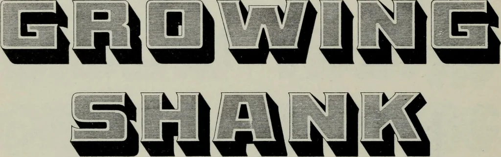 An illustration from Specimens of type, borders, ornaments, brass rules and cuts, etc. : catalogue of printing machinery and materials, wood goods, etc, 1897, leaf 463