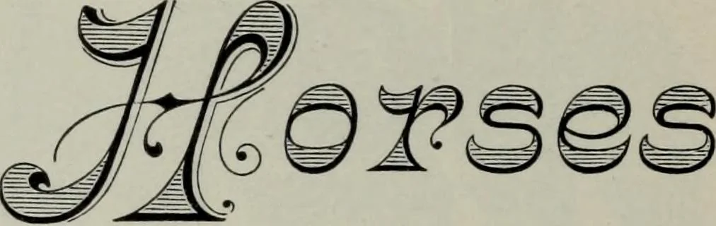 An illustration from Specimens of type, borders, ornaments, brass rules and cuts, etc. : catalogue of printing machinery and materials, wood goods, etc, 1897, leaf 465