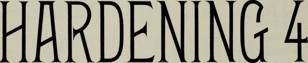 An illustration from Specimens of type, borders, ornaments, brass rules and cuts, etc. : catalogue of printing machinery and materials, wood goods, etc, 1897, leaf 477