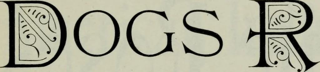 An illustration from Specimens of type, borders, ornaments, brass rules and cuts, etc. : catalogue of printing machinery and materials, wood goods, etc, 1897, leaf 496