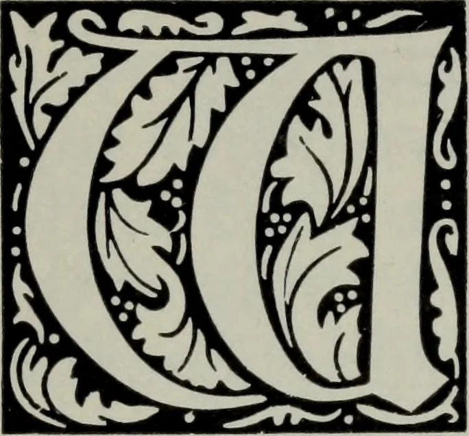 An illustration from Specimens of type, borders, ornaments, brass rules and cuts, etc. : catalogue of printing machinery and materials, wood goods, etc, 1897, leaf 511