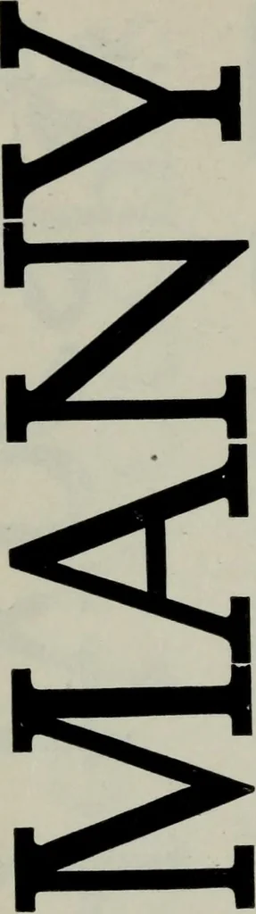 An illustration from Specimens of type, borders, ornaments, brass rules and cuts, etc. : catalogue of printing machinery and materials, wood goods, etc, 1897, leaf 517