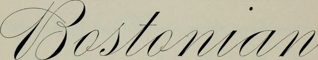 An illustration from Specimens of type, borders, ornaments, brass rules and cuts, etc. : catalogue of printing machinery and materials, wood goods, etc, 1897, leaf 573
