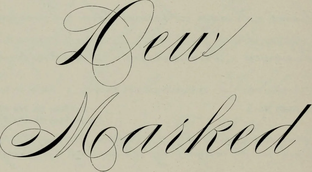 An illustration from Specimens of type, borders, ornaments, brass rules and cuts, etc. : catalogue of printing machinery and materials, wood goods, etc, 1897, leaf 573