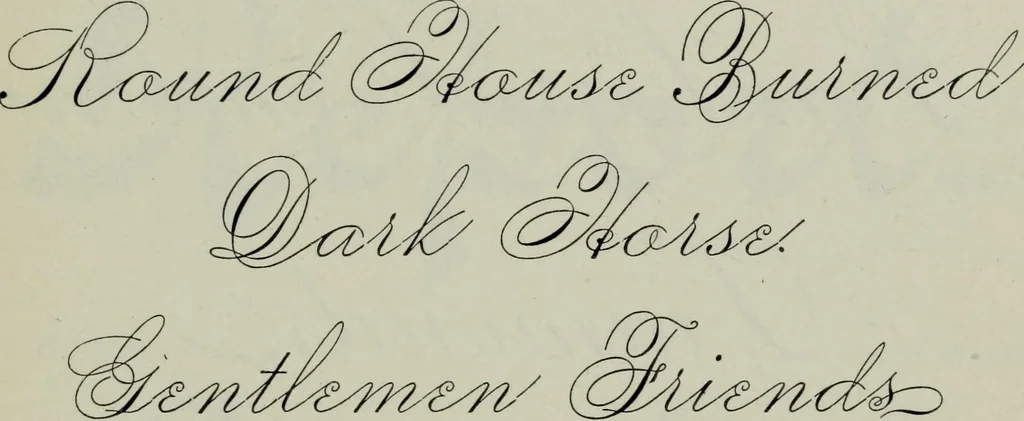 An illustration from Specimens of type, borders, ornaments, brass rules and cuts, etc. : catalogue of printing machinery and materials, wood goods, etc, 1897, leaf 576