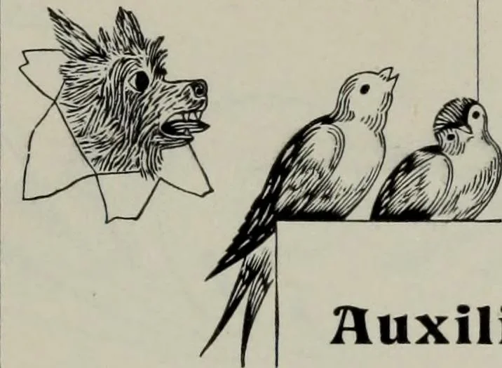 An illustration from Specimens of type, borders, ornaments, brass rules and cuts, etc. : catalogue of printing machinery and materials, wood goods, etc, 1897, leaf 663