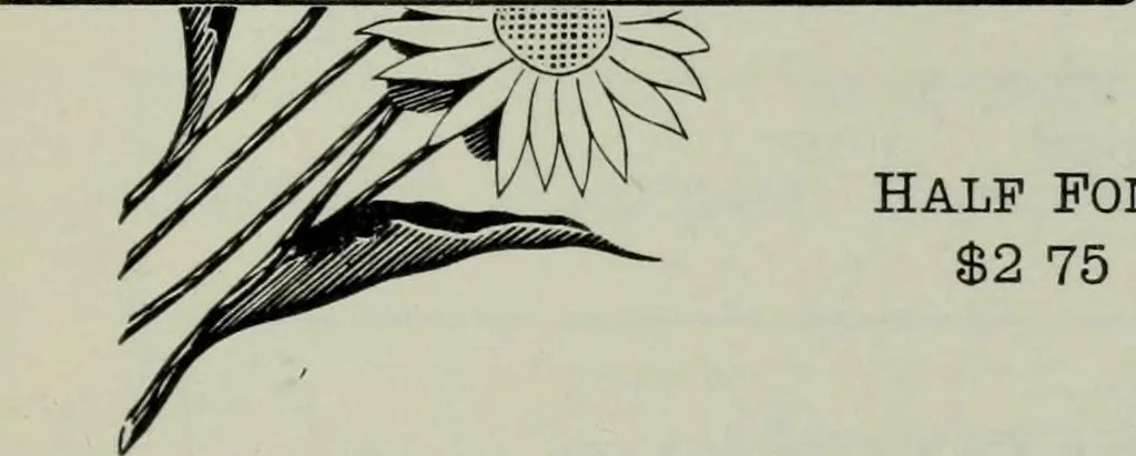 An illustration from Specimens of type, borders, ornaments, brass rules and cuts, etc. : catalogue of printing machinery and materials, wood goods, etc, 1897, leaf 664