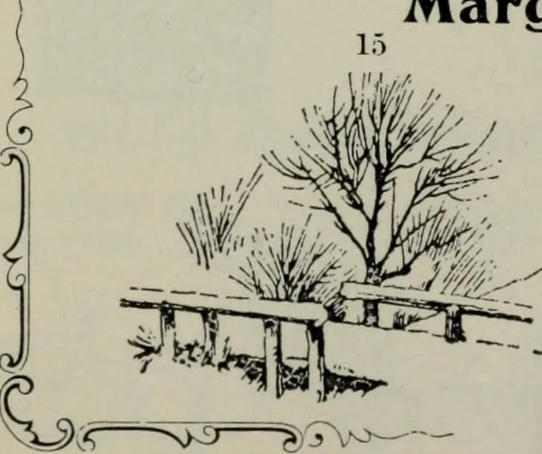 An illustration from Specimens of type, borders, ornaments, brass rules and cuts, etc. : catalogue of printing machinery and materials, wood goods, etc, 1897, leaf 666