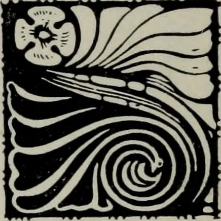 An illustration from Specimens of type, borders, ornaments, brass rules and cuts, etc. : catalogue of printing machinery and materials, wood goods, etc, 1897, leaf 667