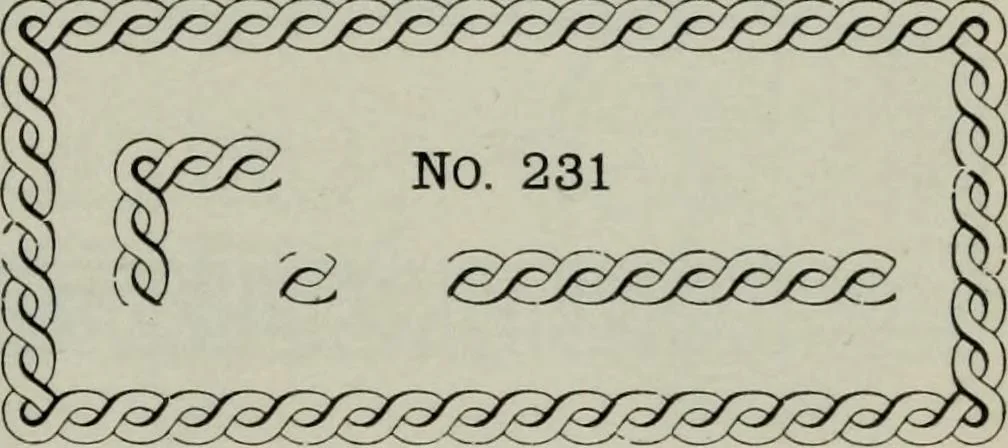 An illustration from Specimens of type, borders, ornaments, brass rules and cuts, etc. : catalogue of printing machinery and materials, wood goods, etc, 1897, leaf 702