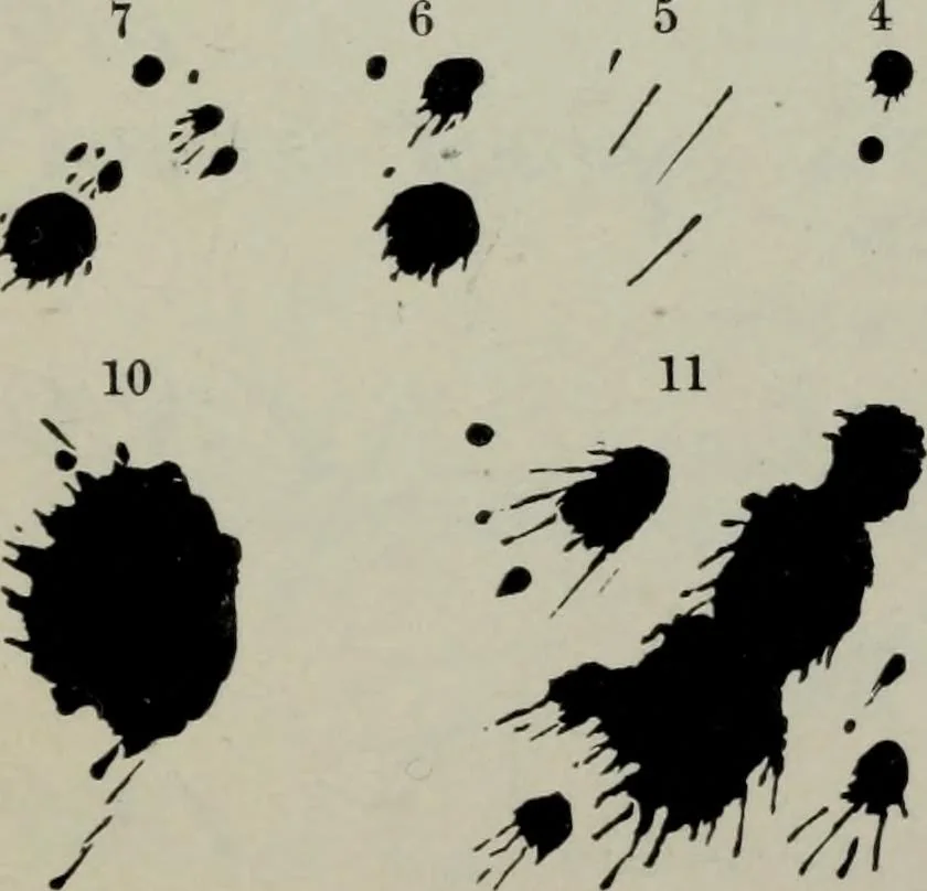 An illustration from Specimens of type, borders, ornaments, brass rules and cuts, etc. : catalogue of printing machinery and materials, wood goods, etc, 1897, leaf 712