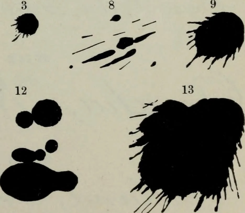 An illustration from Specimens of type, borders, ornaments, brass rules and cuts, etc. : catalogue of printing machinery and materials, wood goods, etc, 1897, leaf 712