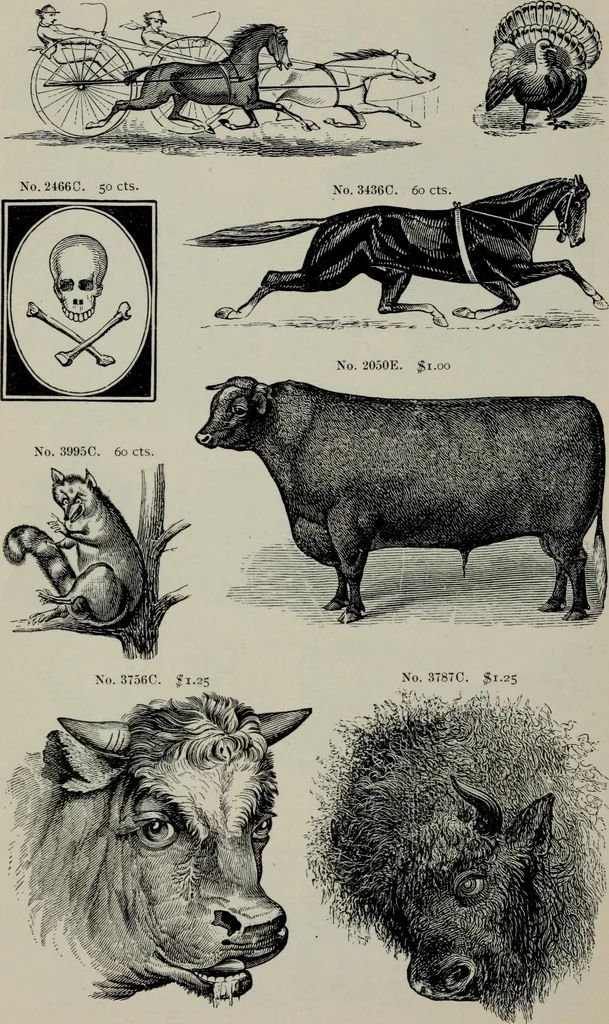 An illustration from Specimens of type, borders, ornaments, brass rules and cuts, etc. : catalogue of printing machinery and materials, wood goods, etc, 1897, leaf 747