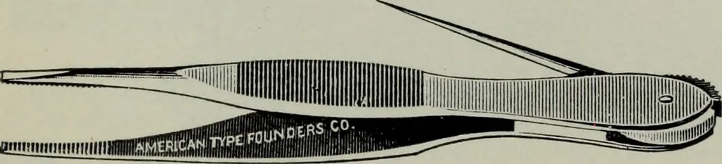 An illustration from Specimens of type, borders, ornaments, brass rules and cuts, etc. : catalogue of printing machinery and materials, wood goods, etc, 1897, leaf 772