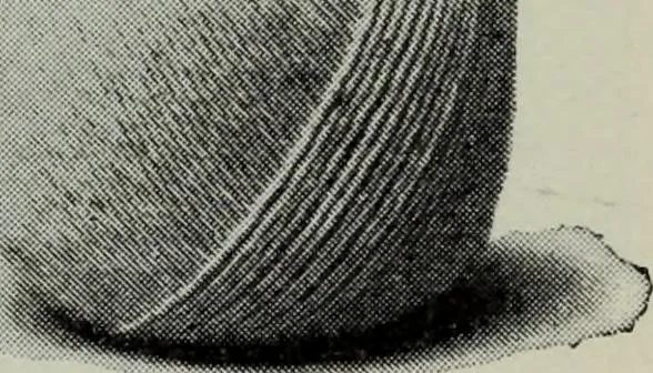 An illustration from Specimens of type, borders, ornaments, brass rules and cuts, etc. : catalogue of printing machinery and materials, wood goods, etc, 1897, leaf 776