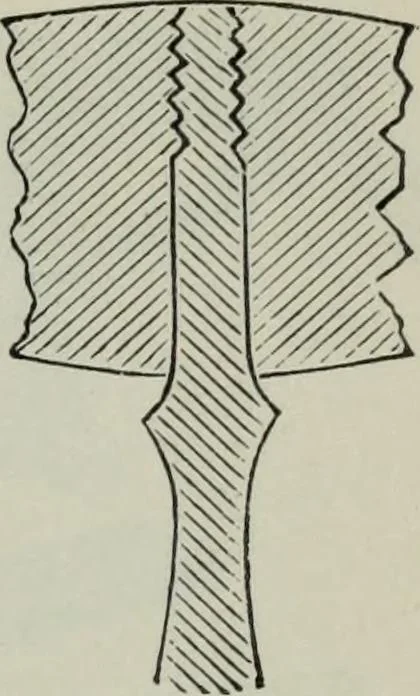 An illustration from Specimens of type, borders, ornaments, brass rules and cuts, etc. : catalogue of printing machinery and materials, wood goods, etc, 1897, leaf 778