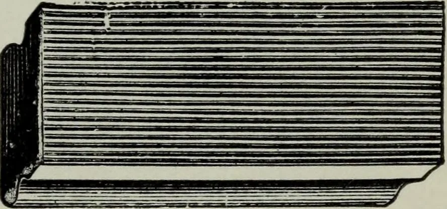 An illustration from Specimens of type, borders, ornaments, brass rules and cuts, etc. : catalogue of printing machinery and materials, wood goods, etc, 1897, leaf 778