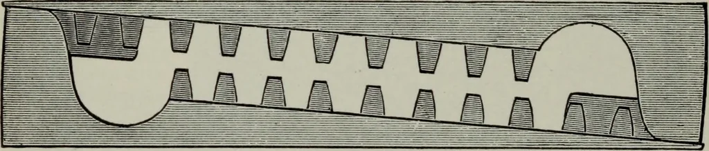 An illustration from Specimens of type, borders, ornaments, brass rules and cuts, etc. : catalogue of printing machinery and materials, wood goods, etc, 1897, leaf 789