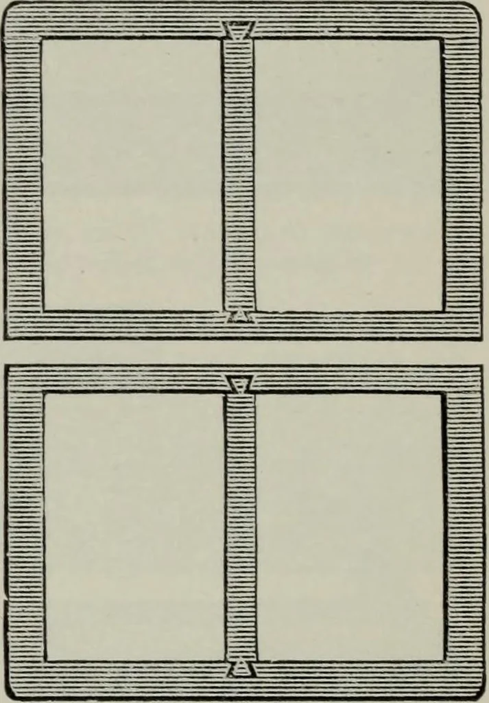 An illustration from Specimens of type, borders, ornaments, brass rules and cuts, etc. : catalogue of printing machinery and materials, wood goods, etc, 1897, leaf 791