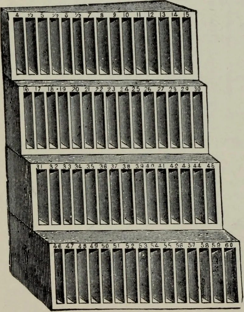 An illustration from Specimens of type, borders, ornaments, brass rules and cuts, etc. : catalogue of printing machinery and materials, wood goods, etc, 1897, leaf 799