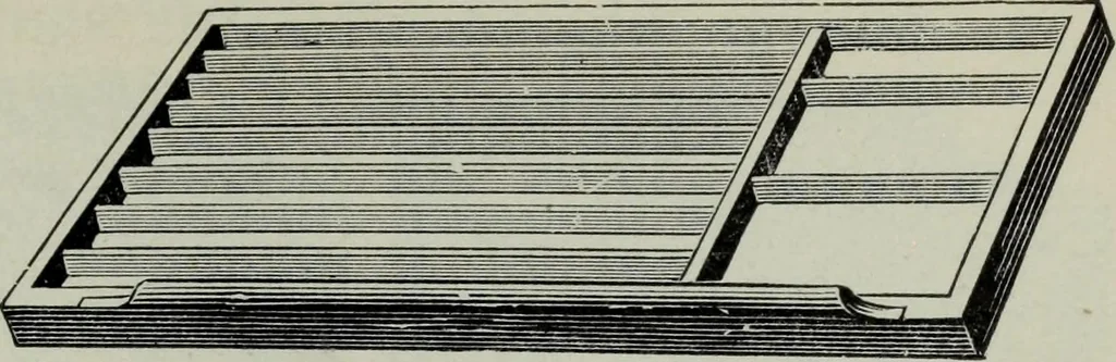 An illustration from Specimens of type, borders, ornaments, brass rules and cuts, etc. : catalogue of printing machinery and materials, wood goods, etc, 1897, leaf 806
