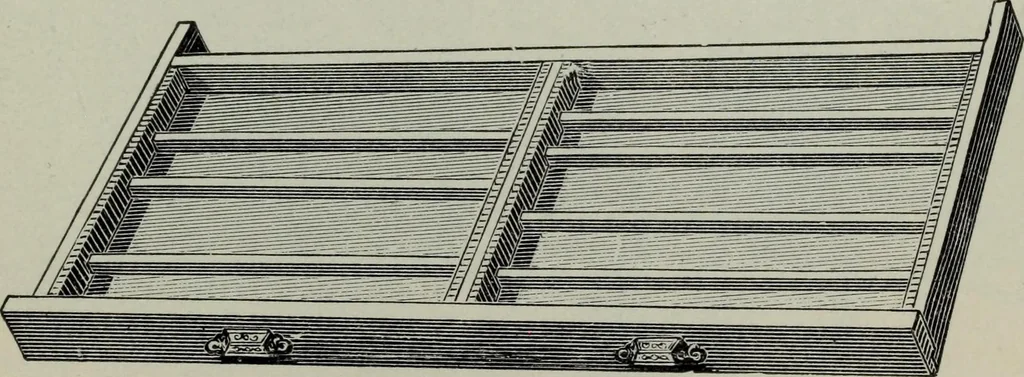 An illustration from Specimens of type, borders, ornaments, brass rules and cuts, etc. : catalogue of printing machinery and materials, wood goods, etc, 1897, leaf 806