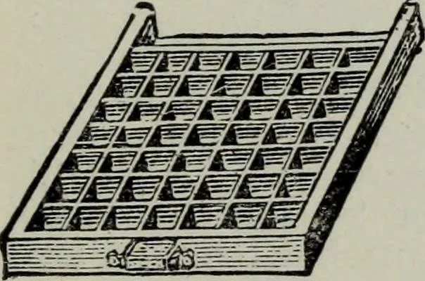 An illustration from Specimens of type, borders, ornaments, brass rules and cuts, etc. : catalogue of printing machinery and materials, wood goods, etc, 1897, leaf 820