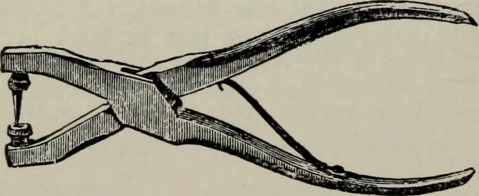 An illustration from Specimens of type, borders, ornaments, brass rules and cuts, etc. : catalogue of printing machinery and materials, wood goods, etc, 1897, leaf 831