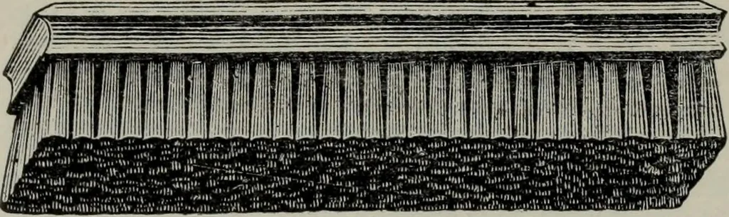An illustration from Specimens of type, borders, ornaments, brass rules and cuts, etc. : catalogue of printing machinery and materials, wood goods, etc, 1897, leaf 833