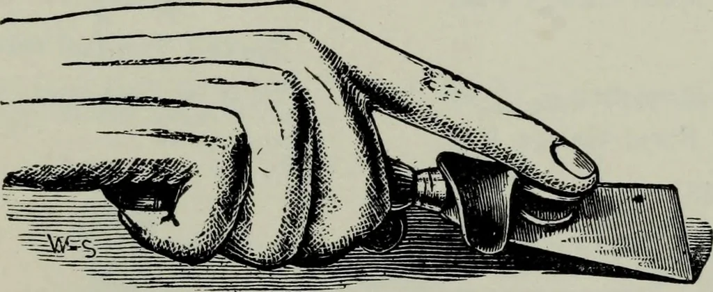 An illustration from Specimens of type, borders, ornaments, brass rules and cuts, etc. : catalogue of printing machinery and materials, wood goods, etc, 1897, leaf 834