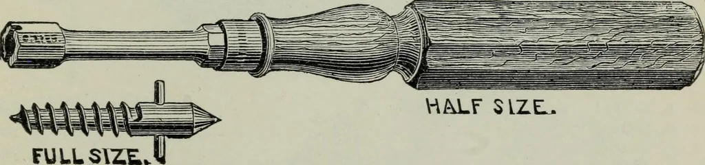 An illustration from Specimens of type, borders, ornaments, brass rules and cuts, etc. : catalogue of printing machinery and materials, wood goods, etc, 1897, leaf 836