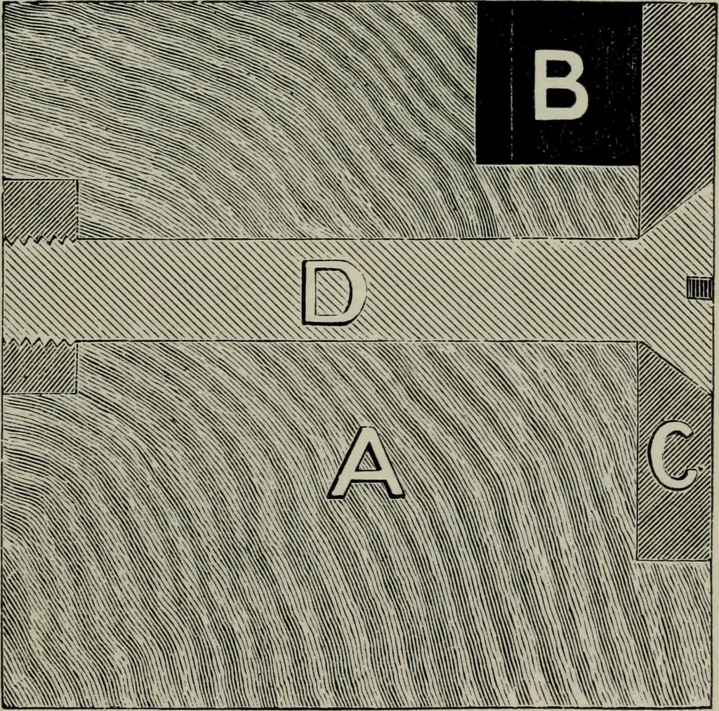 An illustration from Specimens of type, borders, ornaments, brass rules and cuts, etc. : catalogue of printing machinery and materials, wood goods, etc, 1897, leaf 898