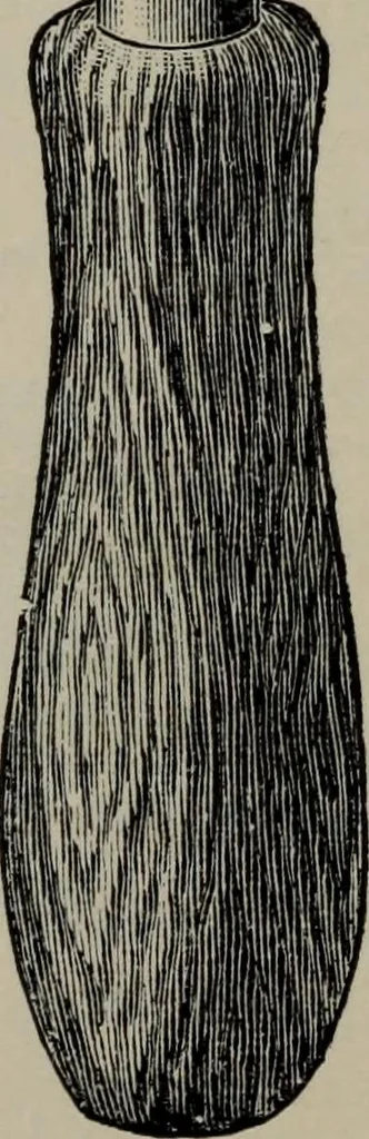 An illustration from Specimens of type, borders, ornaments, brass rules and cuts, etc. : catalogue of printing machinery and materials, wood goods, etc, 1897, leaf 915