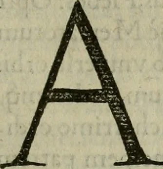 An illustration from Spectaculorvm in svsceptione Philippi hisp. prin. divi Caroli V. cæs. f. an. M.D.XLIX, Antverpiæ æditorvm, mirificvs apparatvs, 1550, leaf 8