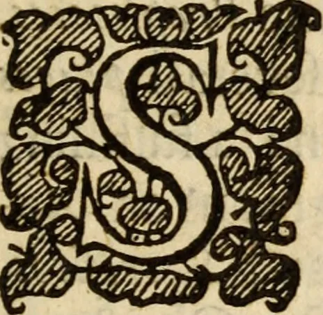An illustration from Sion's prospect in its first view : presented in a summary of divine truths, consenting with the faith profess'd by the Church of England .., 1651, leaf 28
