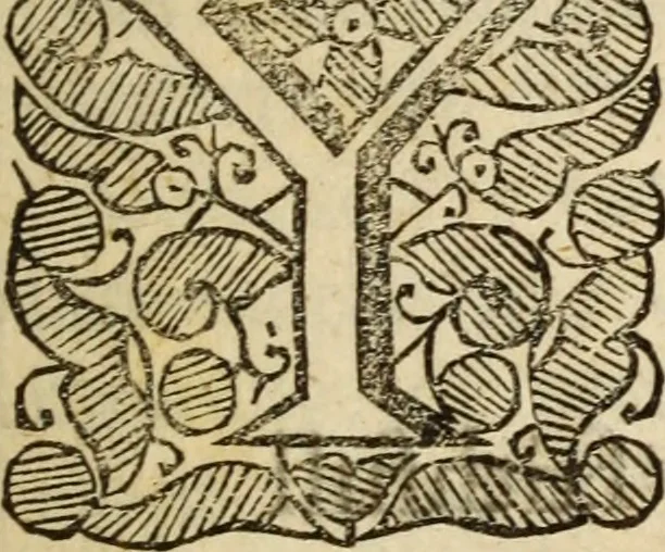 An illustration from Sion's prospect in its first view : presented in a summary of divine truths, consenting with the faith profess'd by the Church of England .., 1651, leaf 4