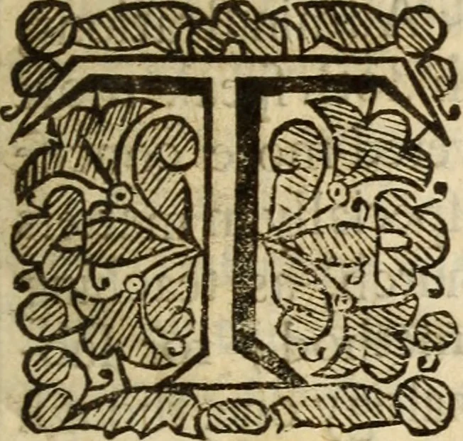 An illustration from Sion's prospect in its first view : presented in a summary of divine truths, consenting with the faith profess'd by the Church of England .., 1651, leaf 6