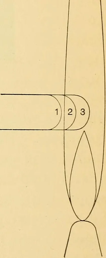 An illustration from Spectrum lines as light sources in polariscopic measurements, 1906, leaf 8