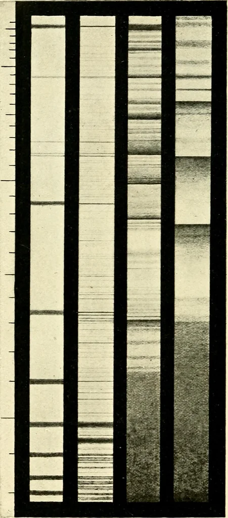 An illustration from The spectroscope and its work, 1910, leaf 177