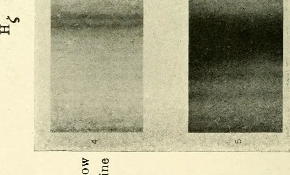 An illustration from The spectroscope and its work, 1910, leaf 179