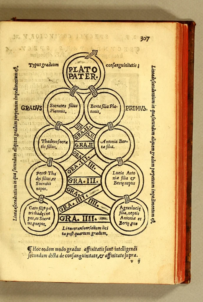 An illustration from Speculum coniugiorum, 1556, leaf 311