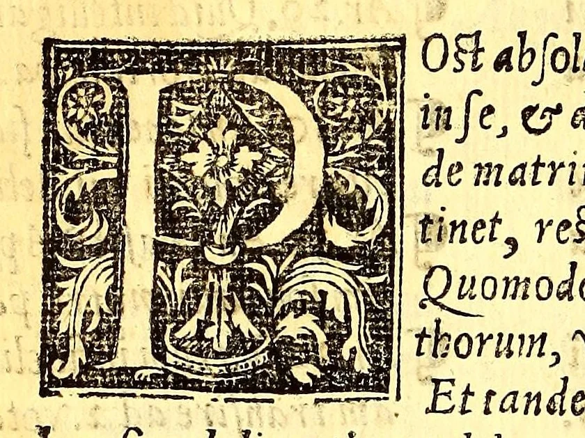An illustration from Speculum coniugiorum, 1556, leaf 528