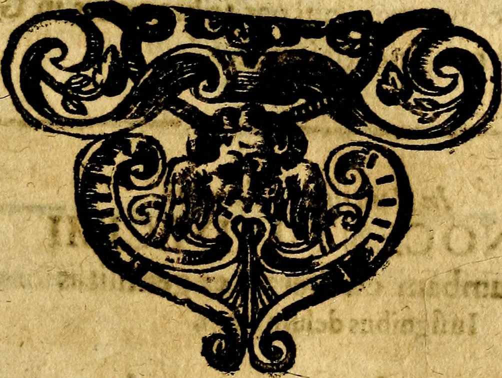 An illustration from Speculum imaginum veritatis occultæ : exhibens symbola, emblemata, hieroglyphica, ænigmata, omnitam materiæ, quam formæ varietate; exemplis simul, ac præceptis illustratum, 1681, leaf 98