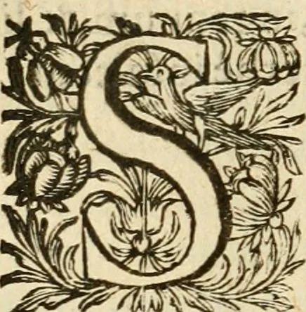 An illustration from Speculum peccatorum aspirantium ad solidam vitae emendationem, siue, Admiranda S. Augustini conversio : historica eiusdem narratione, discursibus moralibus, et emblematis adornata : cum indice concionum per quatuor octauas eiusdem diui et dominicos dies, 1637, leaf 125
