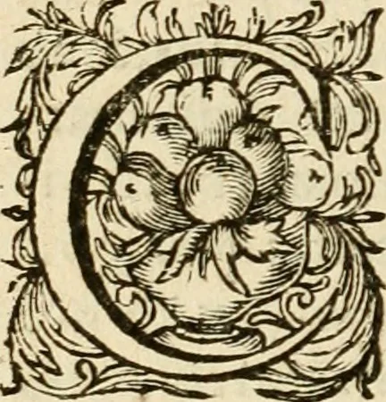 An illustration from Speculum peccatorum aspirantium ad solidam vitae emendationem, siue, Admiranda S. Augustini conversio : historica eiusdem narratione, discursibus moralibus, et emblematis adornata : cum indice concionum per quatuor octauas eiusdem diui et dominicos dies, 1637, leaf 209