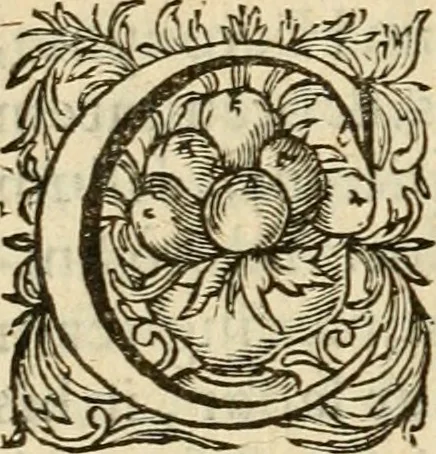 An illustration from Speculum peccatorum aspirantium ad solidam vitae emendationem, siue, Admiranda S. Augustini conversio : historica eiusdem narratione, discursibus moralibus, et emblematis adornata : cum indice concionum per quatuor octauas eiusdem diui et dominicos dies, 1637, leaf 245