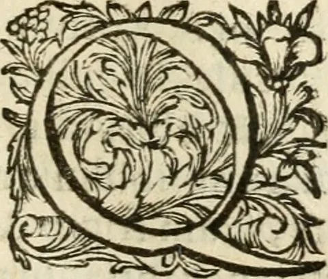 An illustration from Speculum peccatorum aspirantium ad solidam vitae emendationem, siue, Admiranda S. Augustini conversio : historica eiusdem narratione, discursibus moralibus, et emblematis adornata : cum indice concionum per quatuor octauas eiusdem diui et dominicos dies, 1637, leaf 272